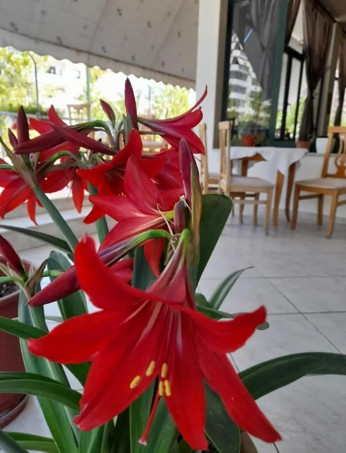 Hotel Rossi Vlorë 3*,